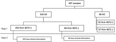 The Clinical Characteristics of Other HLA-B Types in Chinese Ankylosing Spondylitis Patients